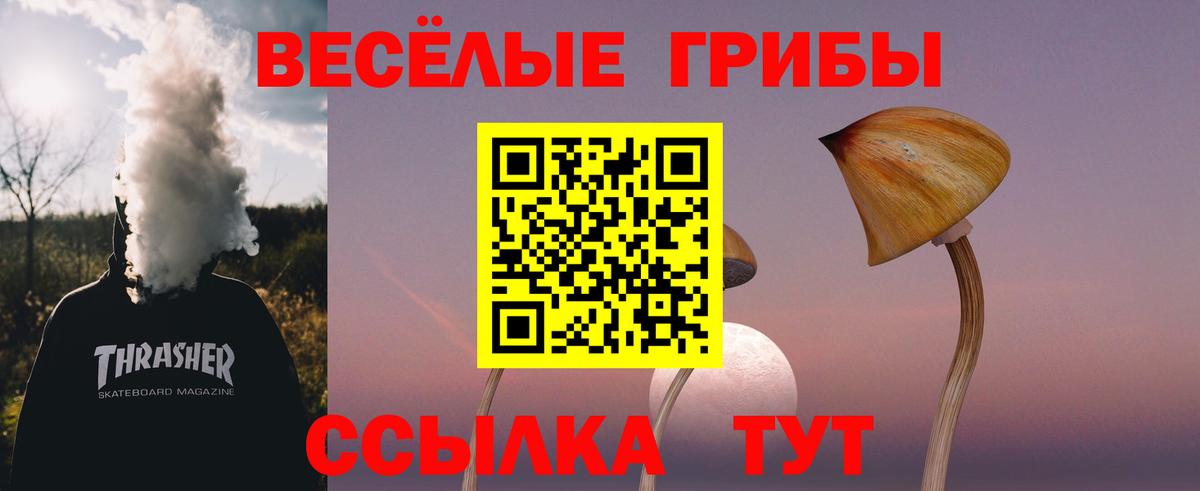 Псилоцибиновые грибы Magic Shrooms  Вход с VPN  Псилоцибиновые грибы ЛСД  Пенза 
